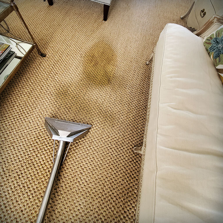 Tips to Keep Your Carpets Spotless from USA Clean Master Specialists