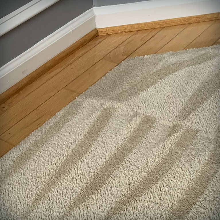 Choosing the Right Carpet Cleaning Method