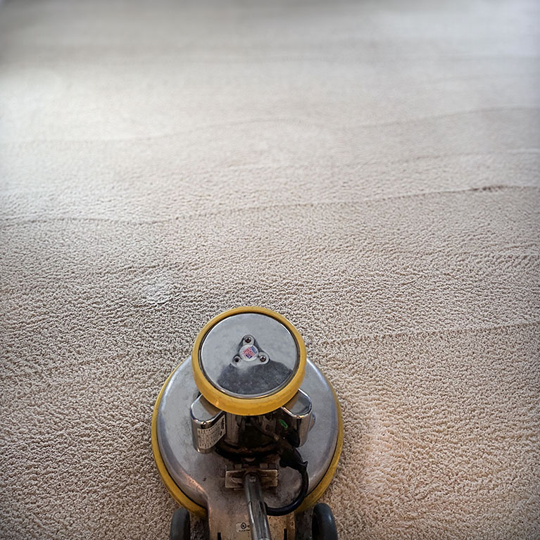 Why Having a Professional Deep Clean Your Carpet Once a Year is a Good Idea?