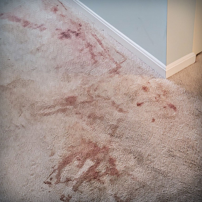 Removing Carpet Dye Stains