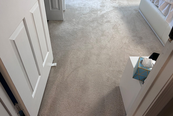 Carpet Cleaning Service in Washington, DC