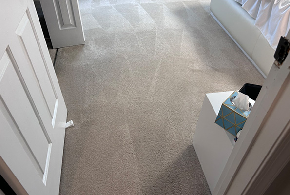 Carpet Cleaning Service in Washington, DC