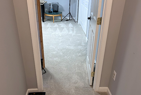 Carpet Cleaning Service in Washington, DC