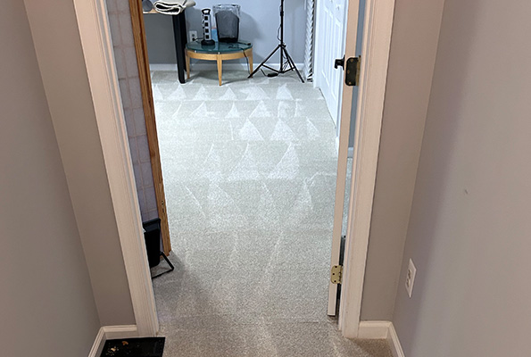 Carpet Cleaning Service in Washington, DC