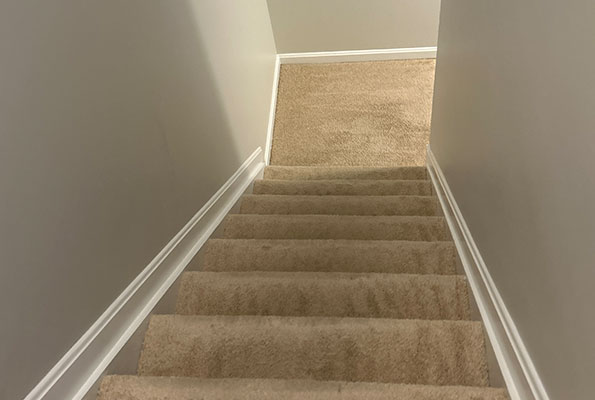 Carpet Cleaning Service in Baltimore, MD