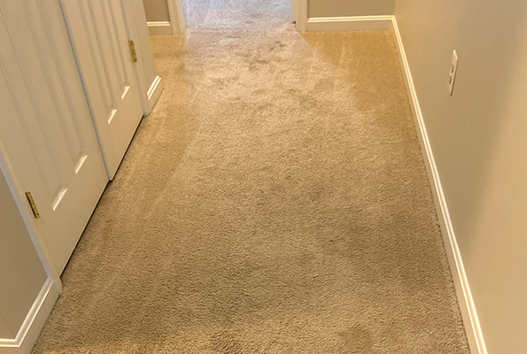 Carpet Cleaning Service in Baltimore, MD