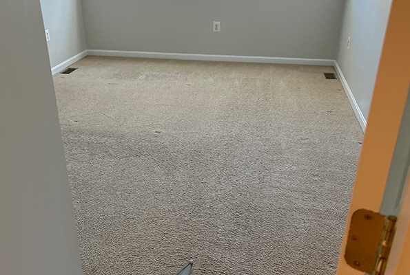 Carpet Cleaning Service in Baltimore, MD