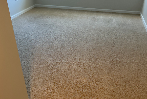 Carpet Cleaning Service in Baltimore, MD