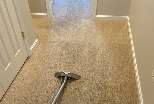 Carpet Cleaning Service in Baltimore, MD