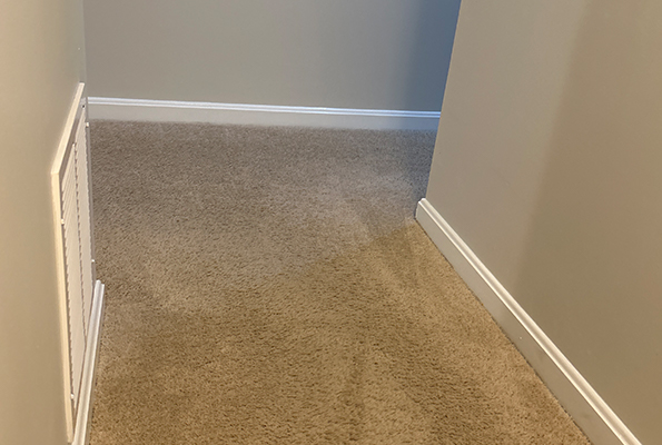 Carpet Cleaning Service in Baltimore, MD