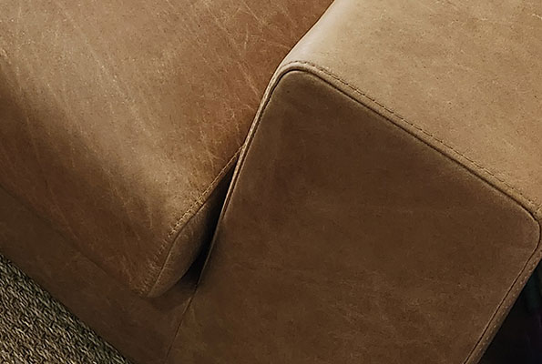 Upholstery Cleaning Service in Washington, DC