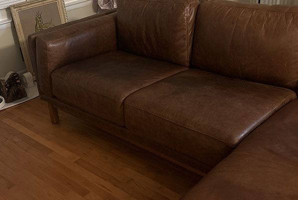 Upholstery Cleaning Service in Washington, DC