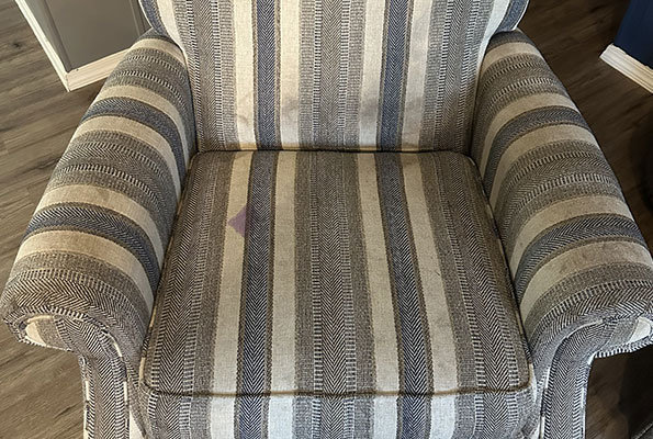 Upholstery Cleaning Service in New Jersey