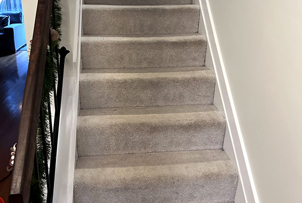 Carpet Cleaning Service in Washington, DC