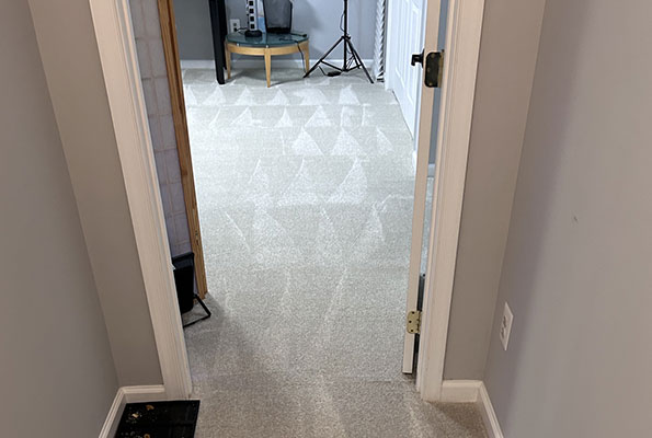 Carpet Cleaning Service in Washington, DC