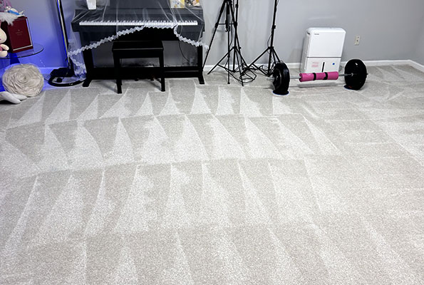 Carpet Cleaning Service in Washington, DC