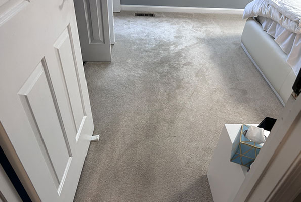 Carpet Cleaning Service in Washington, DC