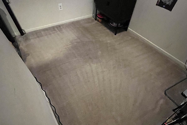 Carpet Cleaning Service in Washington, DC