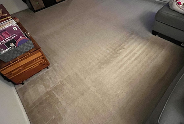 Carpet Cleaning Service in Washington, DC