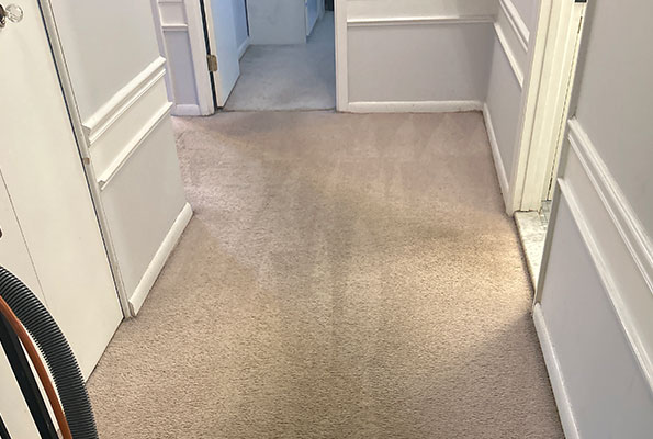 Carpet Cleaning Service in Washington, DC